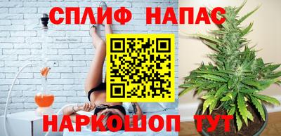 spice Тара