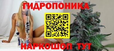 наркотики Дубна