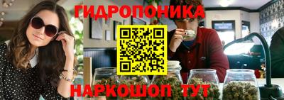 спиды Донской