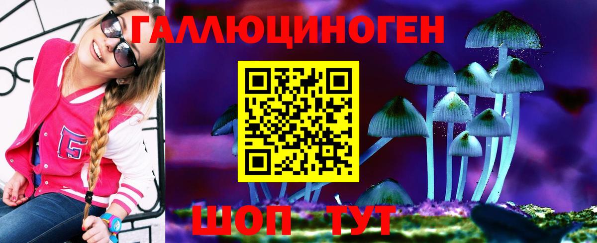 купить наркотики сайты  Псилоцибиновые грибы Cubensis  Вход с VPN  Нововоронеж 