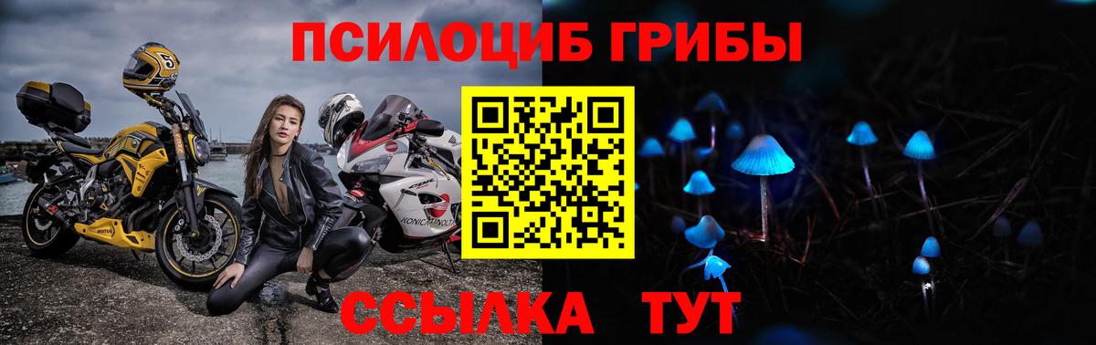 Псилоцибиновые грибы мухоморы Нововоронеж